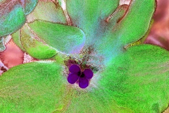 F 012A